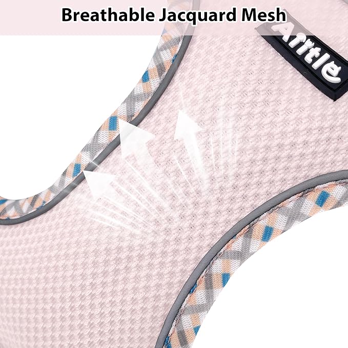 Breathable Dog Harness Small Sized and Leash Set, Blue-Pink XXXS | No Pull Step-in Vest, Lightweight Mesh, Reflective Design with High-Stick Magic Tape, Outdoor Use for Chihuahua, Maltese - Image 2