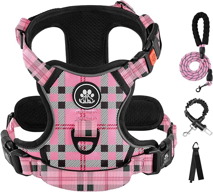 IVY&LANE No Pull Dog Harness with Leash Set, Reflective No Choke Pet Vest,Adjustable Oxford Dog Vest Harness with Easy Control Handle for Small Dogs (Checkered Pink,S) by IVYLANE