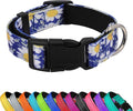 Reflective Dog Collar, Adjustable Neoprene Padded,Small Daisies Blue,M | Breathable Nylon for Medium Dogs,Tear-Resistant Webbing,Chafe‑Free on Walks and Hikes,Metal D-Ring,Night Safety by PWOD