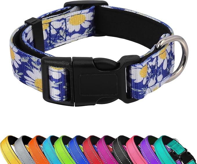 Reflective Dog Collar, Adjustable Neoprene Padded,Small Daisies Blue,M | Breathable Nylon for Medium Dogs,Tear-Resistant Webbing,Chafe‑Free on Walks and Hikes,Metal D-Ring,Night Safety by PWOD