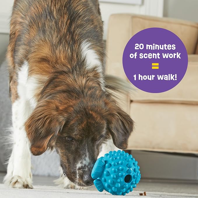 Brightkins Tough & Tumble Treat Dispenser Large Pufferfish - Interactive Dog Toys, Dog Treat Dispenser Toy, Puppy Training Toys, Durable Puzzle Balls for Dogs, Enrichment Slow Feeder Ball - Image 5