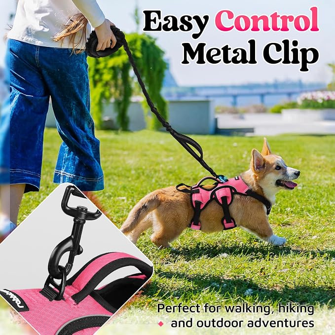 rabbitgoo Escape Proof Dog Harness for Small, No Pull with Lift Handle | No Escape, Full Soft Padded, Reflective Adjustable Vest, Leash Clip for Walking Hiking Training, Peach Pink, Small - Image 5