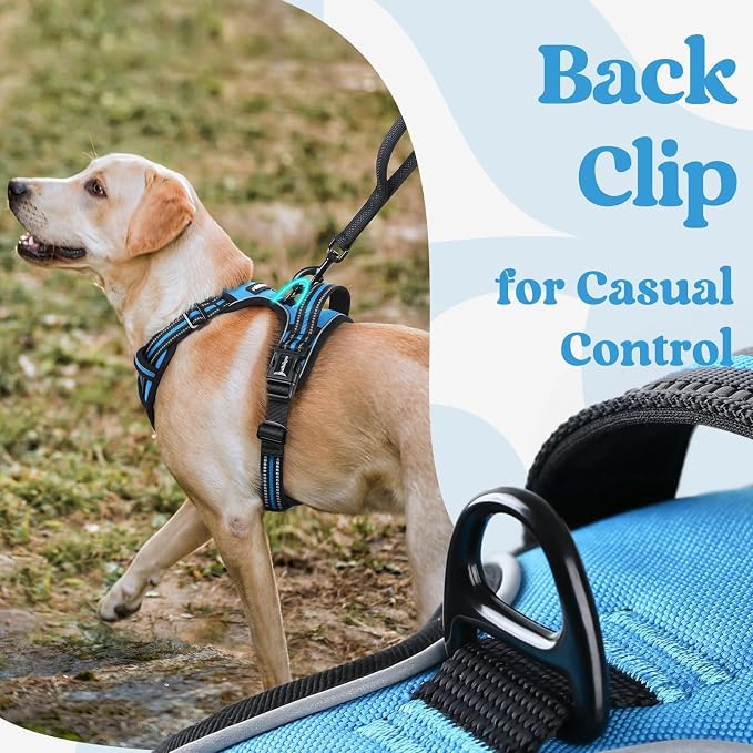 rabbitgoo Dog Harness Medium Sized, Updated Easy On & Off with 3 Buckles | No Pull No Choke, Walking with 2 Clips and Handle, Adjustable Soft Reflective, Sky Blue, Medium - Image 6
