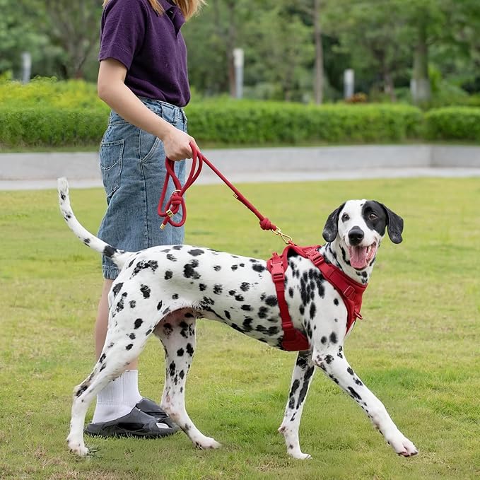 5FT Dog Leash Puppy Cat Rope Lead for Small Medium Large Dogs | Burgundy Red,with Anti-tangle Swivel Clip, Comfortable Grip Handle,Ideal for Daily Walks and Training - Image 8
