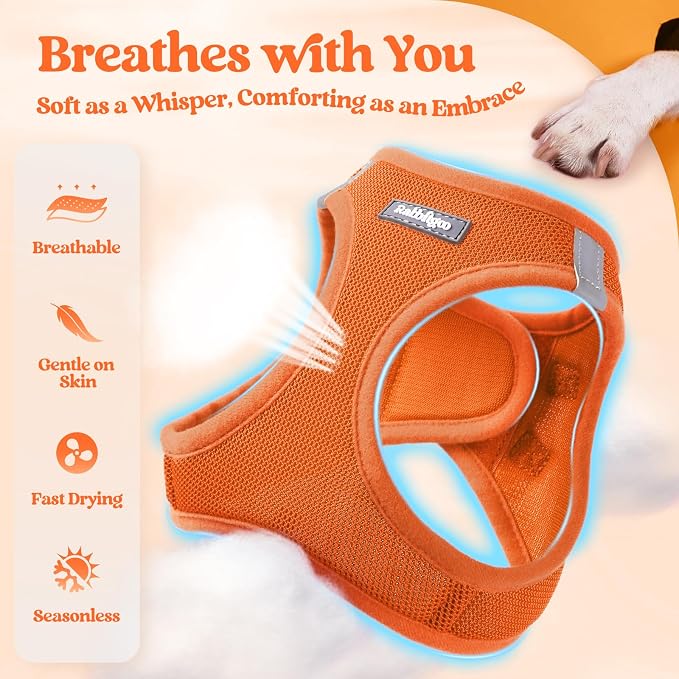 rabbitgoo Dog Harness Small Sized and Leash Set, Step-in Puppy Pet Vest | Light, Soft, Breathable Air Mesh, Easy on and Remove with Hook & Loop, Secure Reflective for Walking, Orange XXS - Image 4