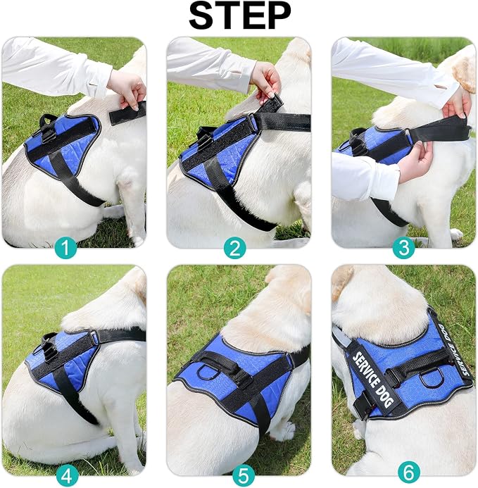 MUMUPET Custom Dog Harness Vest with 2 Personalized Name & Phone Patches | No Pull Reflective Adjustable with Handle, Soft Breathable Padding for Small Dogs (Blue, S) - Image 6