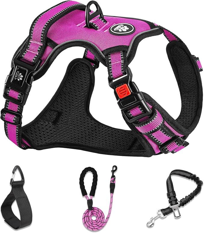 NESTROAD No Pull Dog Harness,Adjustable Oxford Dog Vest Harness with Leash,Reflective No-Choke Pet Harness with Easy Control Soft Handle for Large Dogs(X-Large,Fuchsia Pink) by NESTROAD