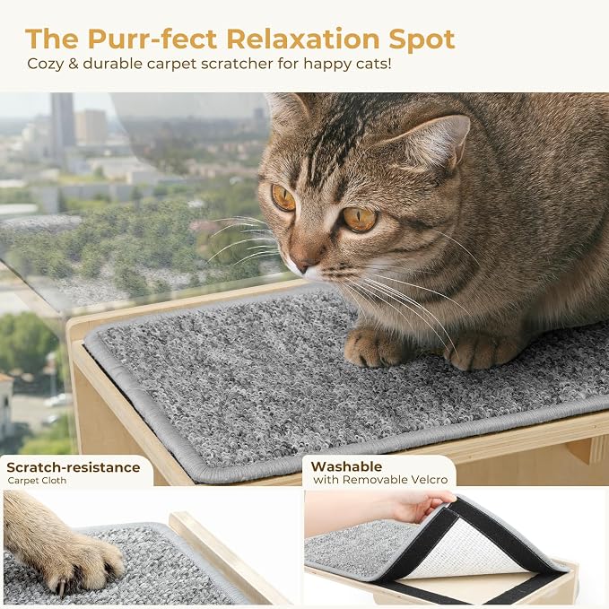 Pecute 2-in-1 Cat Window Perch & Wall Shelves, Cat Hammock Window 16"x10" | Solid Wood Frame, Strong Suction Cups, Washable Cover Mat, Window Bed for Kitten, Indoor Cats, Window Seat for Birds Watching - Image 6