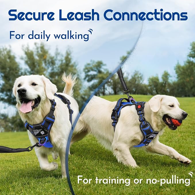 Eagloo Dog Harness No Pull for Large Dogs, Easy On & Off with 3 Buckles | No Choke with Front Clip, Adjustable Fit, MOLLE System, Reflective Vest, Easy Control for Walking, Black & Blue, X-Large - Image 5