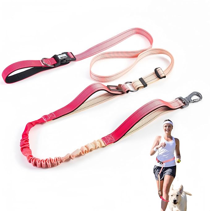 Heavy Duty Hands Free Dog Leash, 5-7 FT Reflective Adjustable Waist Dog Leash Belt with Padded Handles, Shock Absorbing Bungee and Car Seat Belt for Large Medium Dogs (Gradient Rose, XL) by JETOG