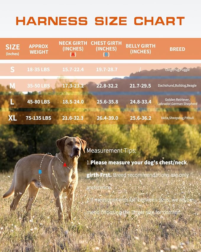 Dog Harness, Tactical No Pull for Small Sized Dog with Handle | Breathable Soft Padded, Adjustable, Reflective, Molle System, Heavy Duty, No Choke for Walking Training, Orange Small - Image 7