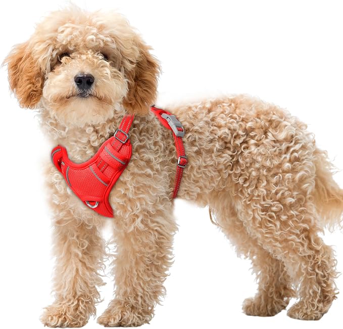 BARKBAY No Pull Dog Harness Large Reflective Dog Harness with Front Clip and Easy Control Handle for Walking Training Running with ID tag Pocket(Red,XS) by BARKBAY