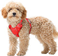 BARKBAY No Pull Dog Harness Large Reflective Dog Harness with Front Clip and Easy Control Handle for Walking Training Running with ID tag Pocket(Red,XS) by BARKBAY