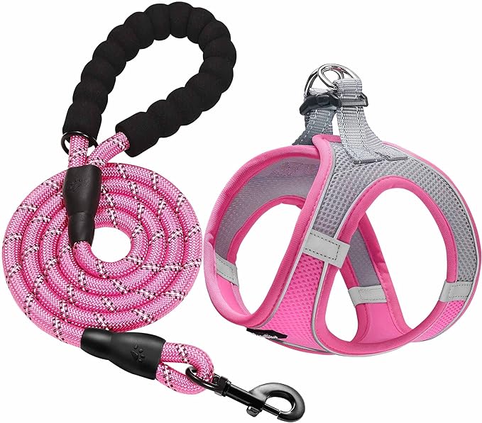 haapaw Dog Harness with Leash Set, No Pull Adjustable Reflective Step-in Puppy Harness with Thickened Padded Vest for Extra-Small/Small Medium Dogs by haapaw