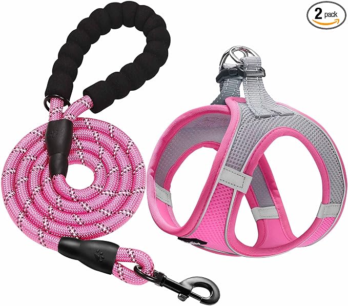 haapaw Dog Harness with Leash Set, No Pull Adjustable Reflective Step-in Puppy Harness with Thickened Padded Vest for Extra-Small/Small Medium Dogs by haapaw