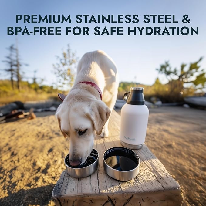 Hydropet Portable Dog Water Bottle (32 oz) - Insulated Dogs & Cats Travel Bottles, Stainless Steel - Detachable Dog Food Bowl and Water Bowl - Great for Daily Walks - Puppy Essentials & Accessories - Image 2
