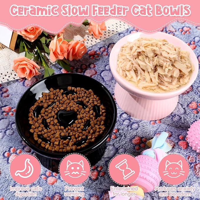 Tioncy 2 Pcs Ceramic Elevated Slow Feeder Cat Bowl, Raised Cat Slow Feeder Bowl, Anti Vomiting for Dry and Wet Food, No Spill High Edge Easy Clean Dishwasher Safe (Black,Pink) - Image 4
