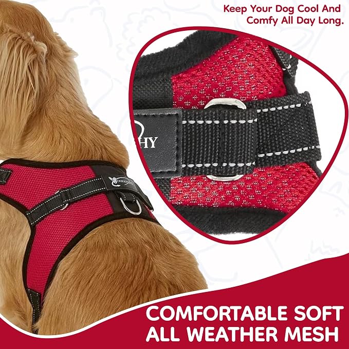 No Pull Reflective Adjustable Dog Harness with Handle- Comfortable Soft All Weather Mesh, Easy On Puppy Harness for Small Medium and Large Dogs (Red) Small - Image 3