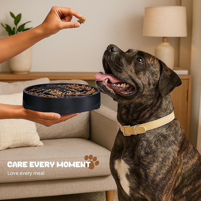 WHIPPY Slow Feeder Dog Bowl, Puzzle Maze Design to Slow Down Eating, 3-Cup Capacity, Anti-Gulping Food Bowl for Medium & Large Dogs,Green - Image 9