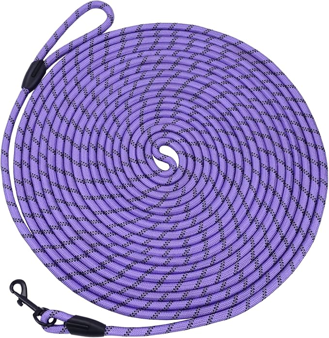 Long Dog Leash for Training 30Ft-Reflective Nylon Rope with Swivel Hook-Recall Agility Lead for Large Small Medium Dogs Outside Walking Hiking-Purple by HiKiss
