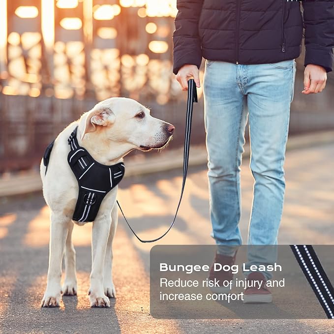 No Pull Dog Harness for Medium Dogs, Adjustable No Choke Pet Vest with Dog Leash Fit Smart Reflective Pet Walking Harness for Training Easy Control Soft Handle Black S - Image 6