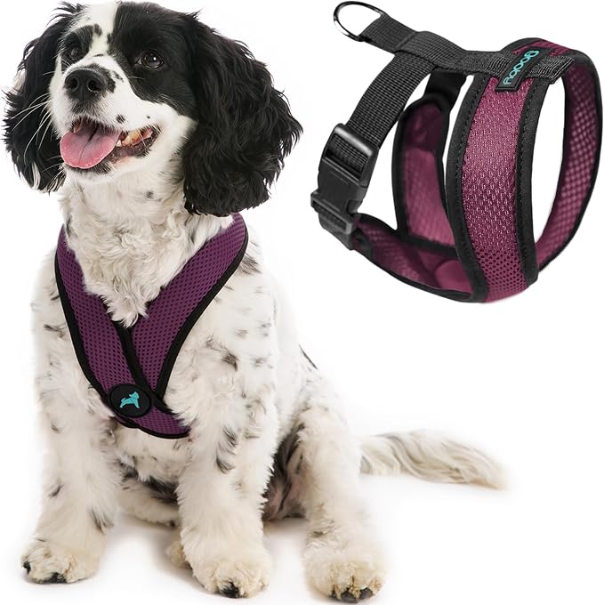 Gooby Comfort X Head-in Dog Harness, Choke-Free, Purple, X-Large | Patented choke-free X-frame; Secure head-in fit; Lightweight breathable mesh; Back metal D-ring; Machine washable by Gooby