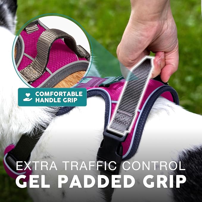 Embark No Pull Dog Harness, Reflective Adjustable Training Vest, No Choke | Adjustable straps fit all dog breeds with sturdy hooks; 360° reflective trim, soft padded Harness Design for All Dogs - Image 7