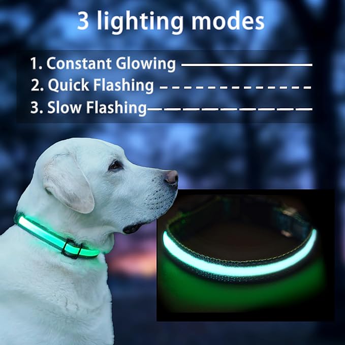USB Rechargeable LED Dog Collar, Waterproof, Adjustable, Glowing, for Extra Small Dogs, Night Walking, Camping, Jogging, Green, XS (Neck 9-13", Width 5/8") - Image 2