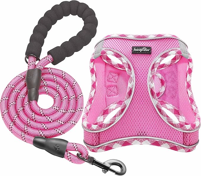 haapaw Dog Harness with Leash Set, No Pull Adjustable Reflective Step-in Puppy Harness with Thickened Padded Vest for Extra-Small/Small Medium Dogs by haapaw