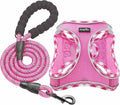 haapaw Dog Harness with Leash Set, No Pull Adjustable Reflective Step-in Puppy Harness with Thickened Padded Vest for Extra-Small/Small Medium Dogs by haapaw