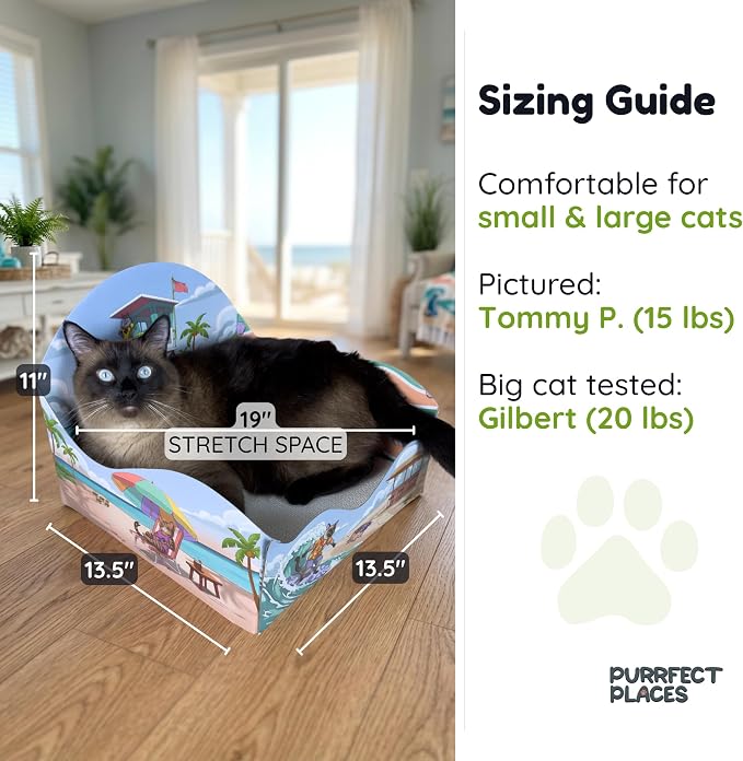 Themed Cardboard Cat House & Scratcher | Beach Theme | Enclosed Privacy Bed and Premium Corrugated Scratch Pad for Small, Medium & Large Indoor Cats, 13.5 inches (Meow Beach) - Image 2