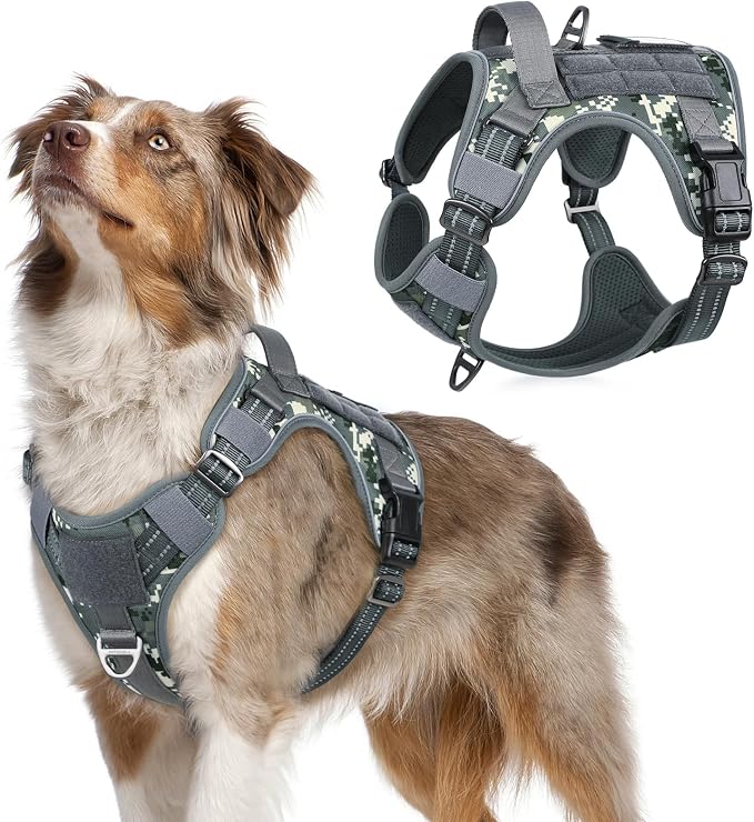rabbitgoo Tactical Dog Harness for Medium, No Pull Military Service Vest | Molle & Handle, Heavy Duty, Adjustable, Reflective Straps, Easy Control for Training Walking, Grey Camo, Medium by rabbitgoo