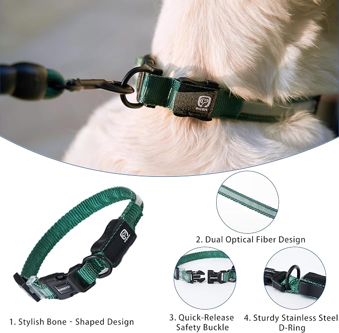 USB Rechargeable LED Dog Collar, Waterproof, Adjustable, Glowing, for Extra Small Dogs, Night Walking, Camping, Jogging, Green, XS (Neck 9-13", Width 5/8") - Image 4