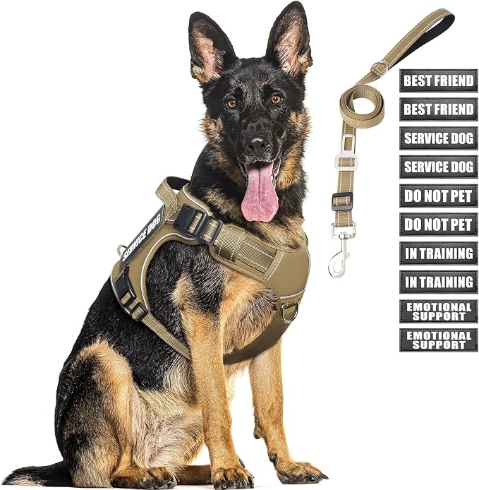 Tactical Dog Harness and Leash Set with 10 Patches for Large Dogs | Heavy Duty Adjustable No Pull Service Dog Vest for Large Dogs with Dog Seat Belt,for Training Walking Hiking Brown XL by MOOGROUPETSFRIEND