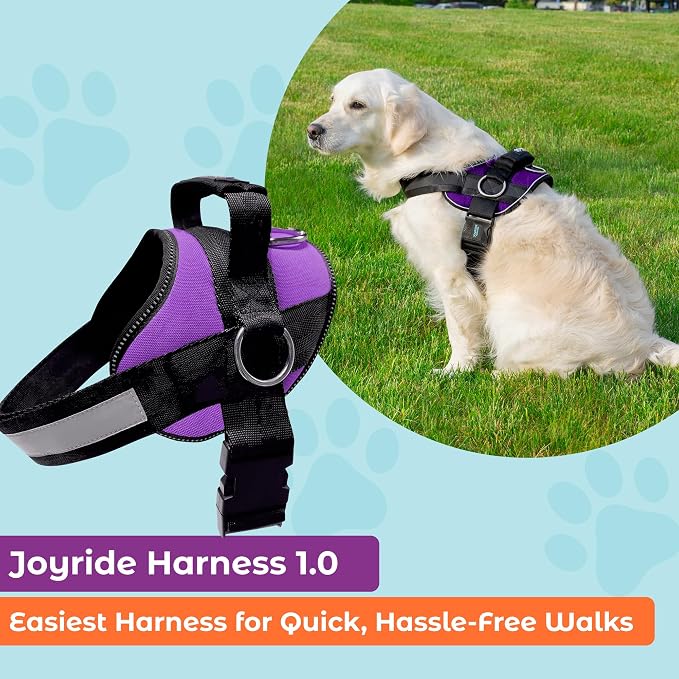 Joyride Basic Dog Harness 1.0 | Purple Majesty | L | Adjustable pet vest with 3 side leash rings for training, walking and improved control for small, medium or large dogs - Image 2