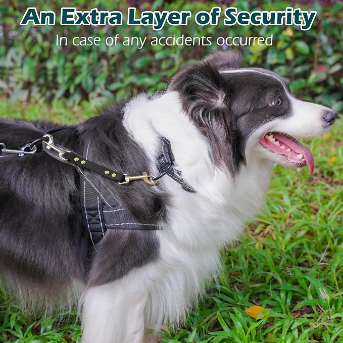 PetBonus Dog Collar Safety Clip, Waterproof Backup Safety Strap | Prong Collar to Harness Connector, Escape Proof, Odor Proof, Easy to Clean, Double Ended Clasp for Training Walking, Black - Image 4