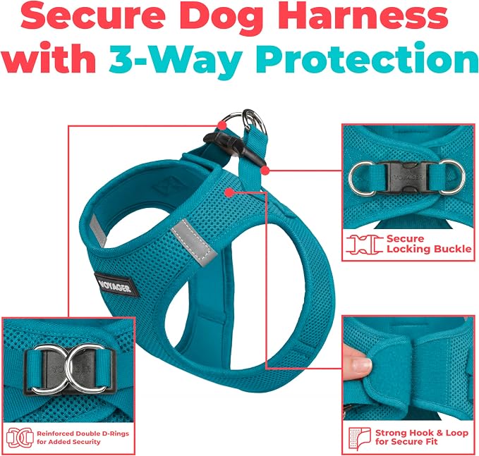 Voyager Step-in Air Dog Vest Harness - Turquoise, X-Small | 13 - 14.5" in Chest, Reflective Bands, All Weather Breathable Air Mesh, Cats Compatible, Lightweight, Fast Drying - Image 2