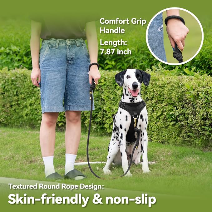 5FT Dog Leash Puppy Cat Rope Lead for Small Medium Large Dogs | Black, with Anti-tangle Swivel Clip, Traffic Non-slip Grip Handle for Extra Control, Ideal for Daily Walks and Training - Image 5