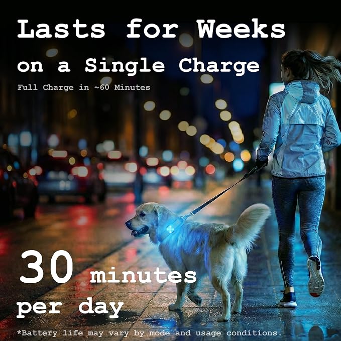Dog Collar Light, Rechargeable LED Dog Safety Light for Night Walking, Clip-On or Strap-On Pet Light for Collar, Harness and Leash, High Visibility, Water-Resistant, USB-C, Blue - Image 5