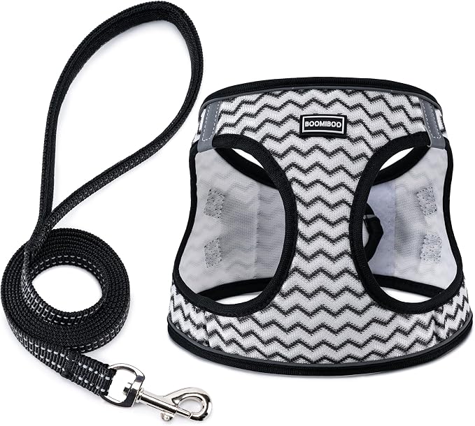 Dog Harness with Leash Set, Step-in Adjustable Puppy Vest, White Stripe XXS | Lightweight Breathable Air Mesh, Night Safety Reflective, No Pull Puppy Vest Harnesses for Small Medium Large Dogs, Cats by BOOMIBOO
