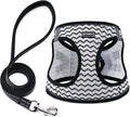BOOMIBOO Dog Harness with Leash Set, No Pull Adjustable Reflective Step-in Puppy Pet Vest Harnesses for Small Medium Large Dogs and Cats,White Stripe M | Lightweight Breathable Air Mesh, Night Safety Reflective, No Pull Puppy Vest Harnesses for Small M... by BOOMIBOO