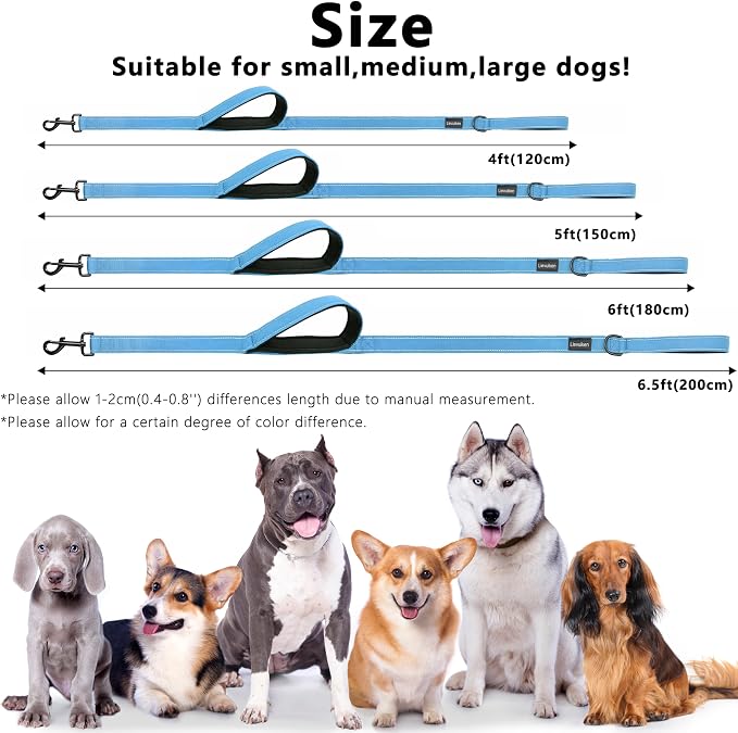 Dog Leash 4ft Long,Double Handle Dog Leash for Control Training | Heavy Duty Dog Leads with Traffic Padded Handles, Reflective Leashes for Small Medium Large Dogs(4ft, Sky Blue) - Image 5