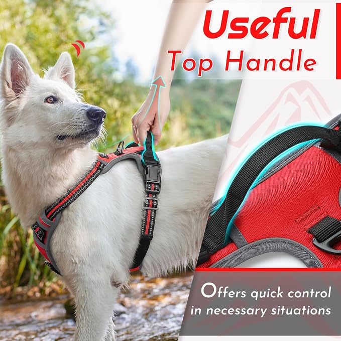 Eagloo Dog Harness for Large Dogs, No Pull Pet Vest with 2 Leash Clips | No Choke with Handle, Adjustable Comfort Fit, Reflective Strips, Easy Walking Control, Red, Large - Image 4