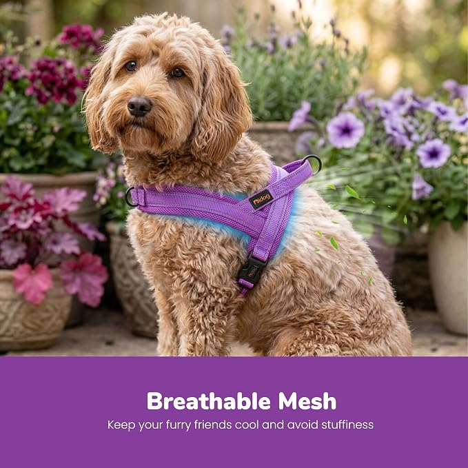 No Pull Dog Harness for Small Dogs, Breathable Mesh Padded, Purple, S | Quick Fit, Easy On and Off, Lightweight, Reflective Vest Harness for Night Safty, Easy for Walking and Training, Chest 18-22" - Image 2