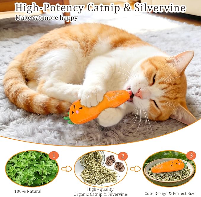 ETEKYER Catnip Cat Toys for Indoor Cats Kitten, 5 Pack, Vegetable Shape | Cat Nip Toys Soft and Durable, Interactive Kitty Kicker Chew Safe Teeth Cleaning Toy - Image 2