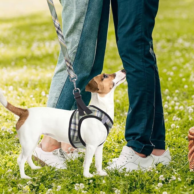 PUPTECK Dog Harness, Collar and Leash Set No Pull for Small Medium Sized | Plaid Puppy Step-in Escape Proof Reflective No Choke Pet Cat Adjustable Walking Vest - Image 7