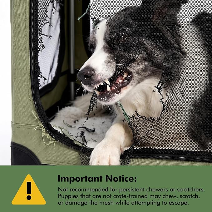 Veraste 42" Soft Collapsible Travel Dog Crate for Large Dogs,Green | 4-Door Foldable Travel Crate,breathable mesh, foldable with storage bag - Image 3