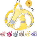 Petank Dog Harness for Small Medium Dogs No Pull, Puppy Harness and Leash Set for Walking, Running, Training, Small Dog Harness, Medium Dog Harness (Yellow, M) by Petank