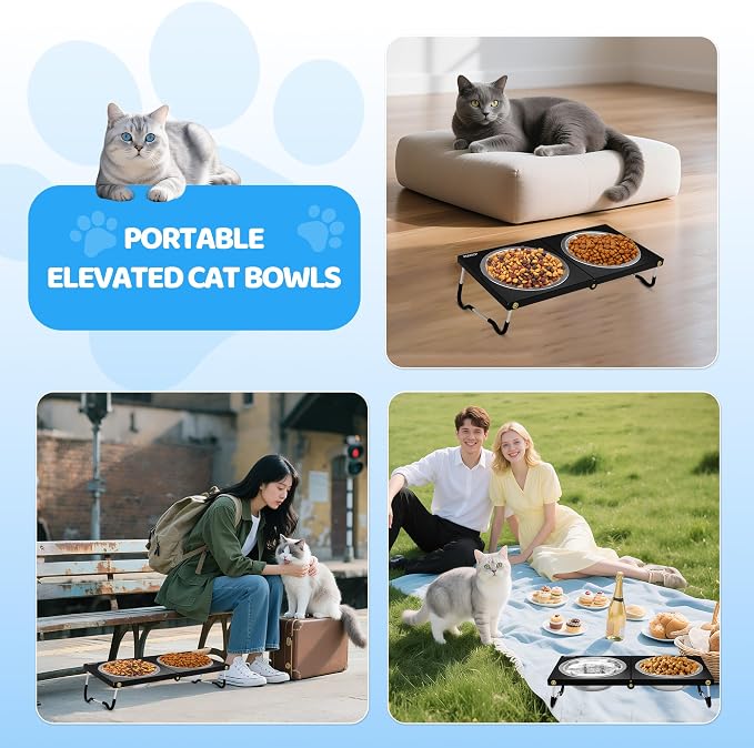 Upgraded Elevated Cat Bowls,10°Tilted Foldable Stand Anti Vomiting Raised Cat Dishes for Food and Water,2 Stainless Steel Bowls for Cats and Puppy (2 Pack) - Image 7