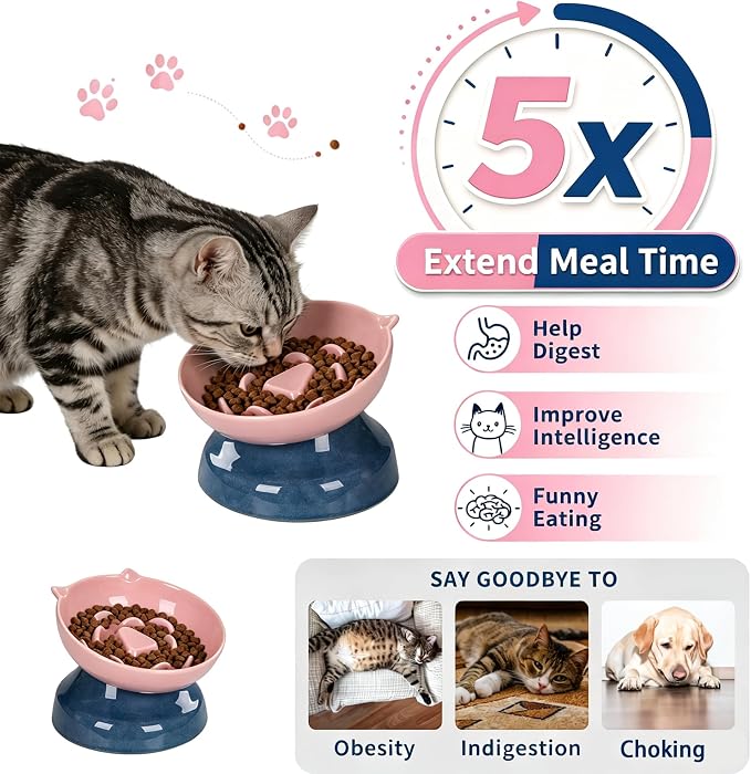 Ceramic Slow Feeder Cat Bowl, 15-Degree Tilted Non-Slip | Food-Grade Ceramic For Indoor Cats, 5.3 In Shallow Bowl, Whisker-Friendly, Dry And Wet Food, Dishwasher Safe - Image 2